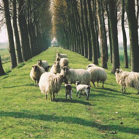 B&B Landgoed Rijckholt Geersdijk Zewnętrze zdjęcie