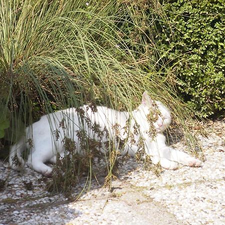 B&B Landgoed Rijckholt Geersdijk Zewnętrze zdjęcie