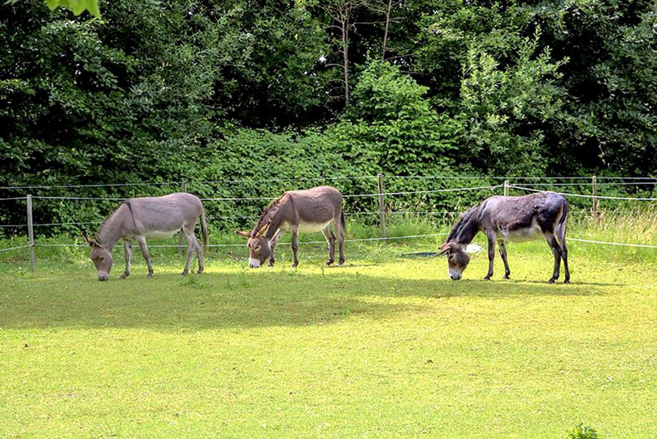 B&B Landgoed Rijckholt Geersdijk Zewnętrze zdjęcie